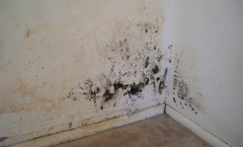 Traitement de l’humidité à Pithiviers : moisissures noires dans l’angle d’un mur